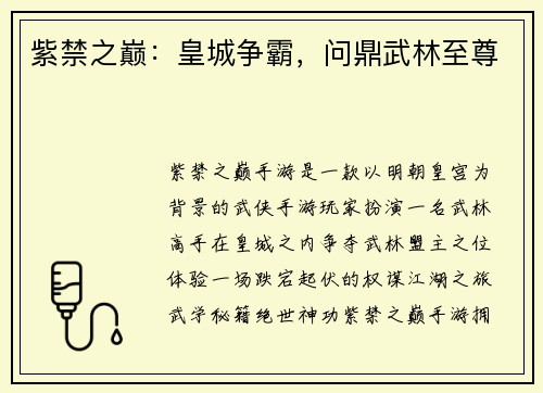 紫禁之巅：皇城争霸，问鼎武林至尊